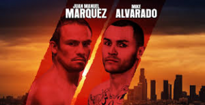 Tale of the Tape: Marquez vs. Alvarado - Potshot Boxing