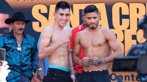 leo santa cruz vs. abnes mares boxing poll - Potshot Boxing